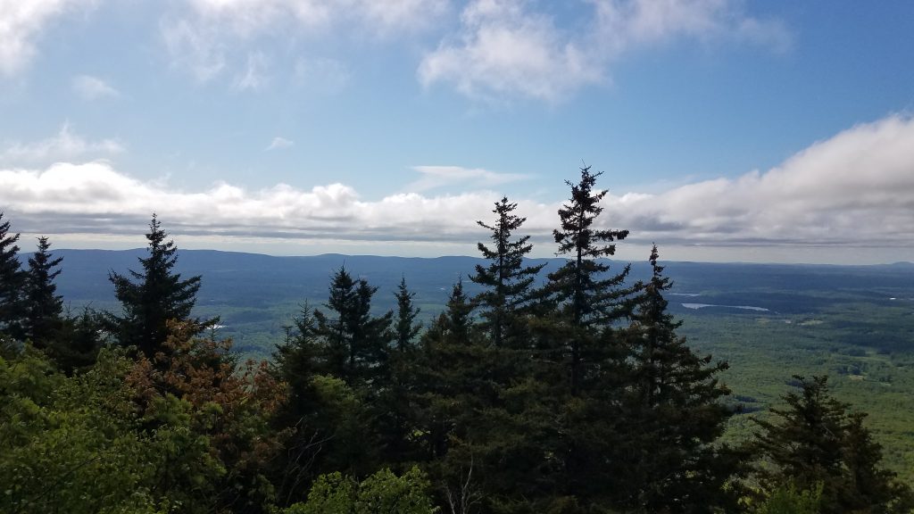 Summer Day Trips | Central Mass Mom