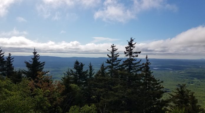 Summer Day Trips | Central Mass Mom