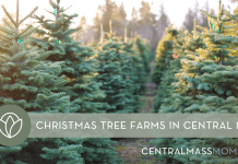 Christmas Tree Farms in Central Mass | Central Mass Mom