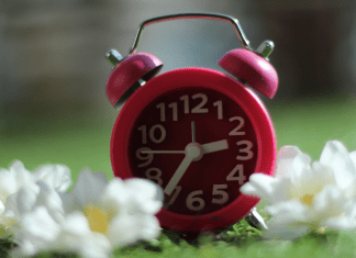 Daylight Savings Time - old fashioned alarm close surrounded by flowers