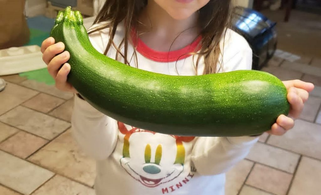 child holding zucchini